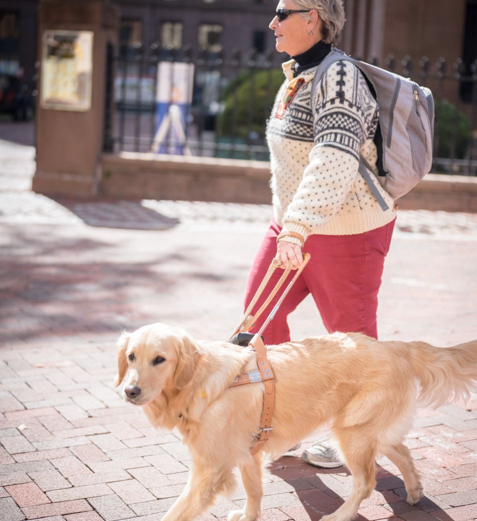 A blind woman walks down a city sidewalk with her guide dog.